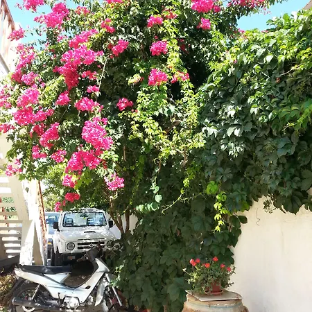 Pizania Kalymnos Town