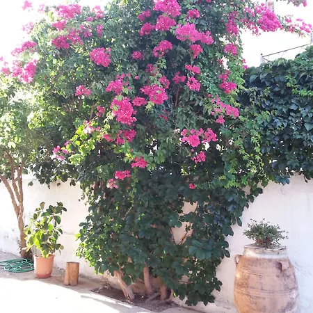 Апартаменты Pizania Kalymnos Town
