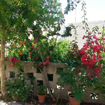 Pizania